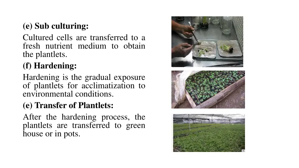 e sub culturing cultured cells are transferred