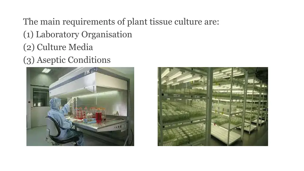 the main requirements of plant tissue culture