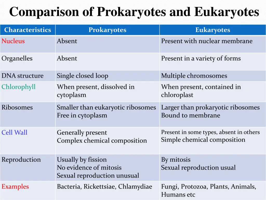 comparison of prokaryotes and eukaryotes