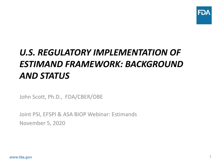 u s regulatory implementation of estimand