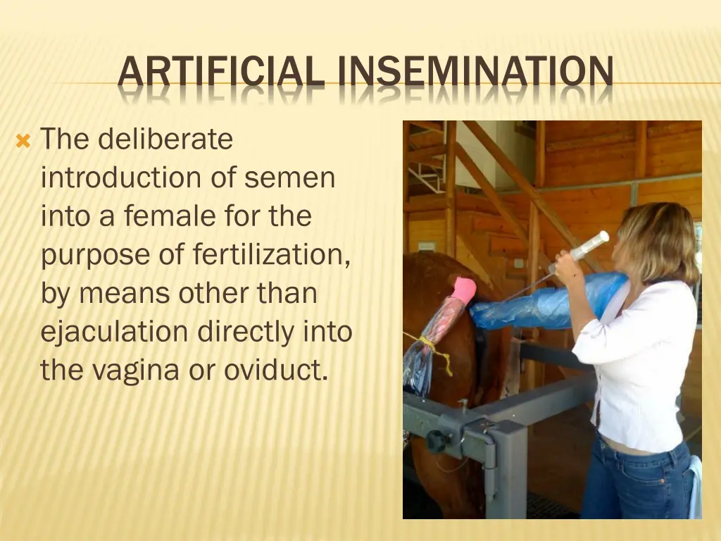 artificial insemination