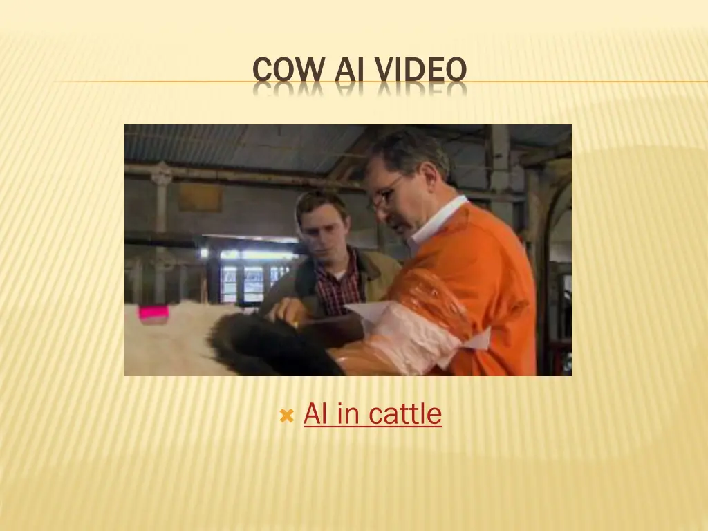 cow ai video