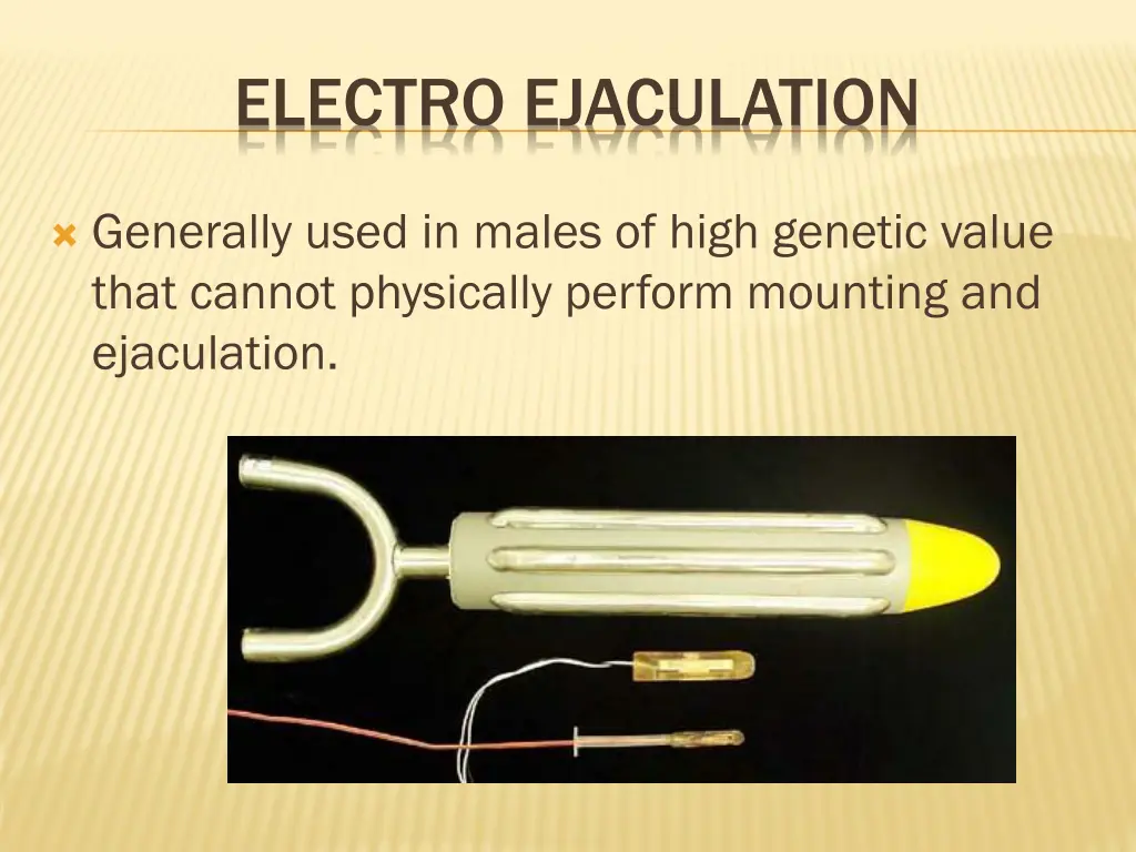 electro ejaculation