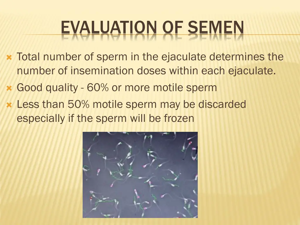 evaluation of semen