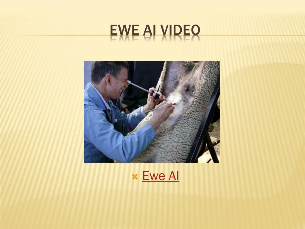 ewe ai video