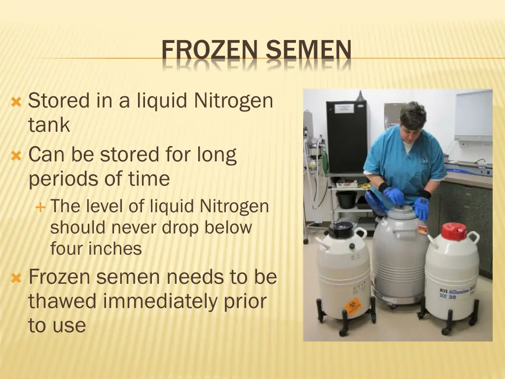 frozen semen