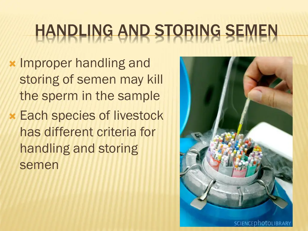 handling and storing semen