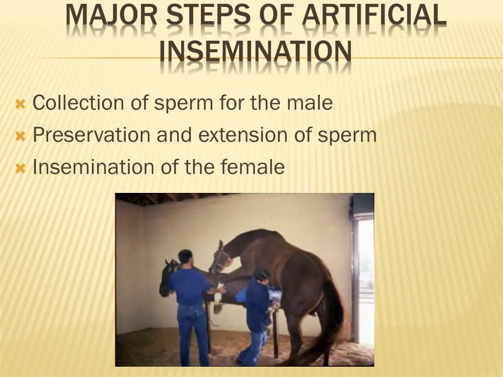 major steps of artificial insemination