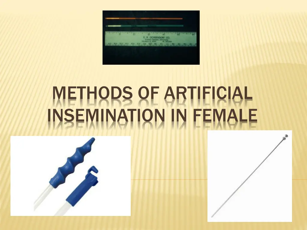 methods of artificial insemination in female