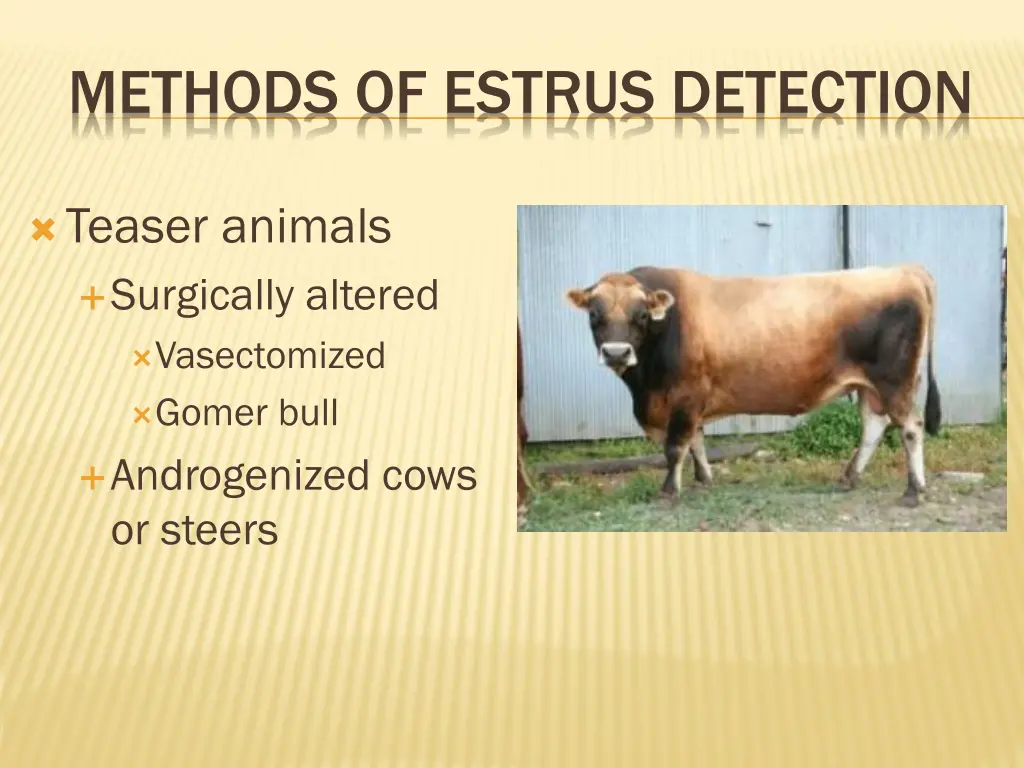 methods of estrus detection 1