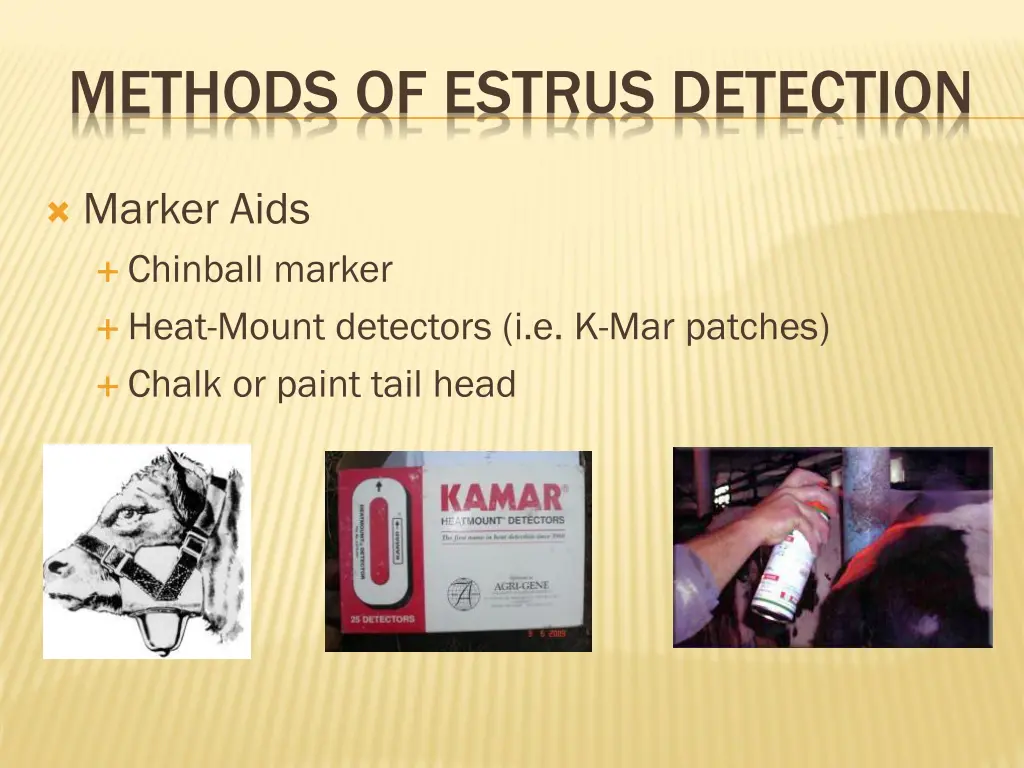 methods of estrus detection 2