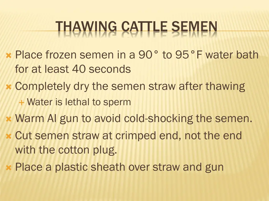 thawing cattle semen