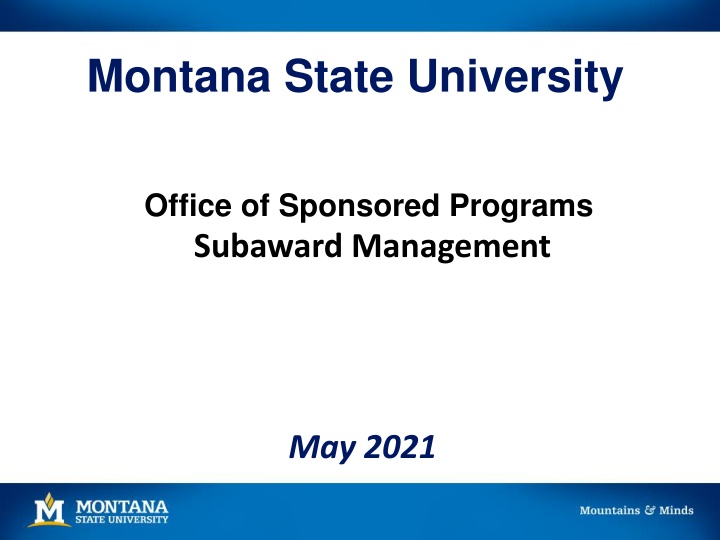 montana state university