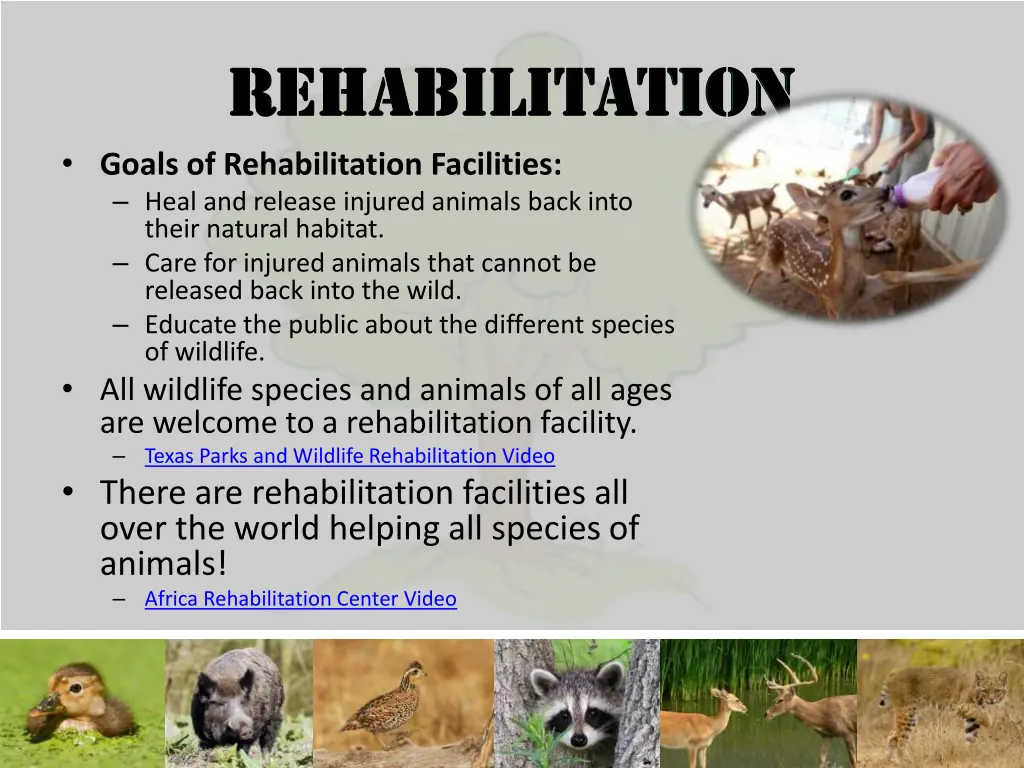 goals of rehabilitation facilities heal