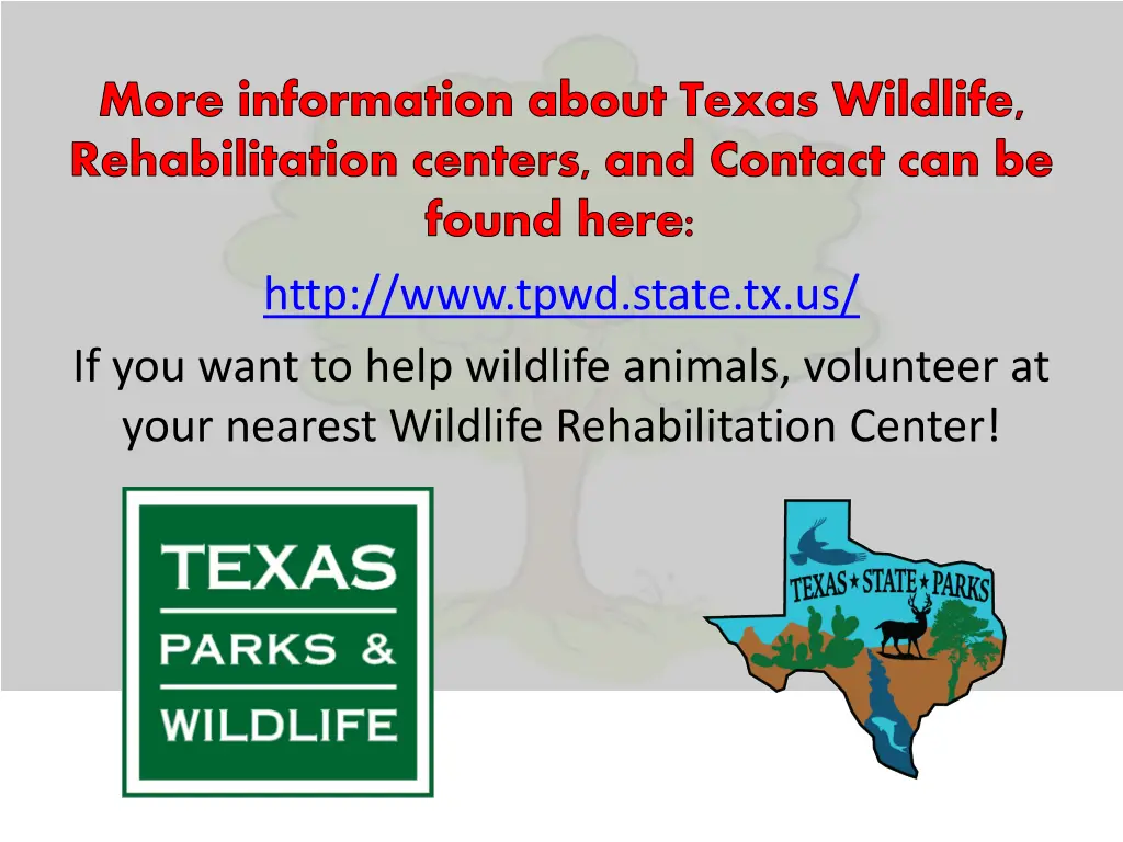 more information about texas wildlife