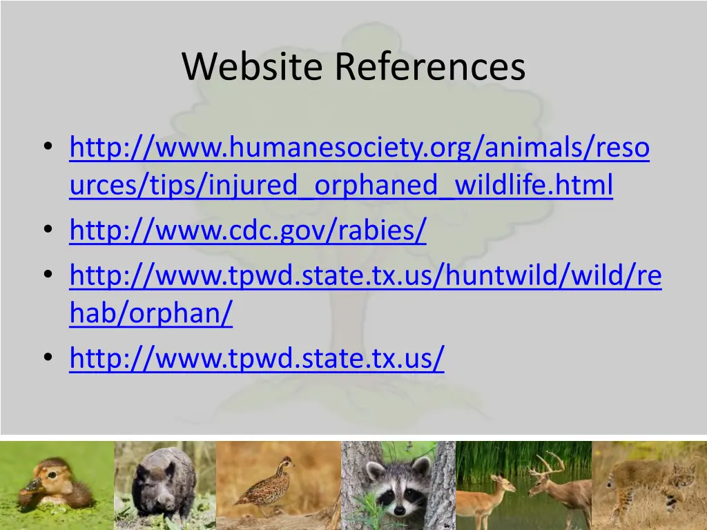 website references