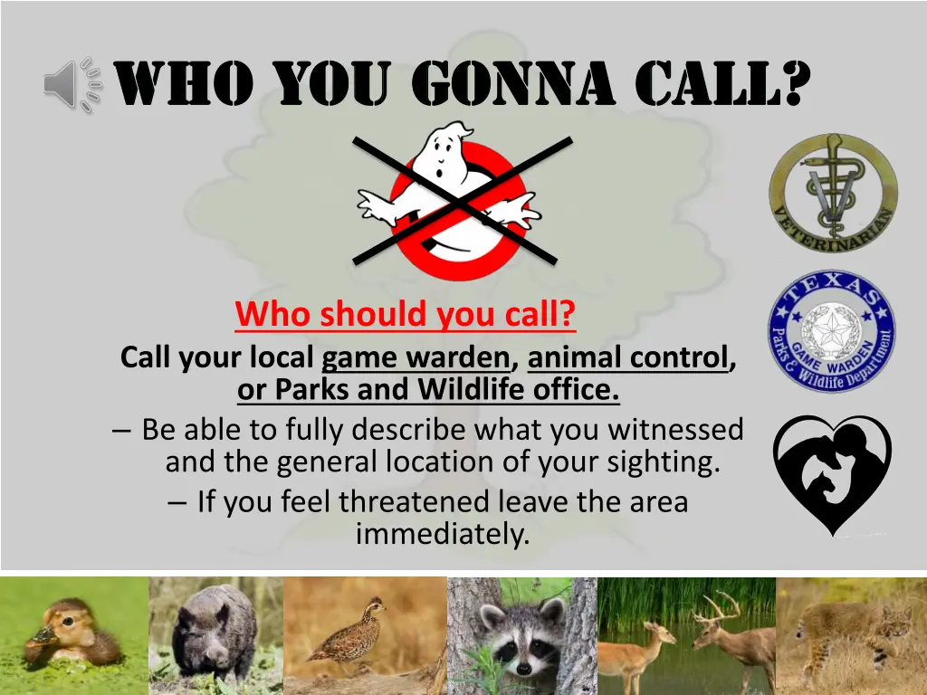 who should you call call your local game warden