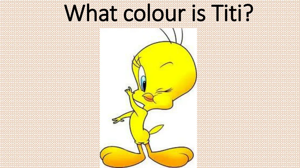 what what colour colour is is titi