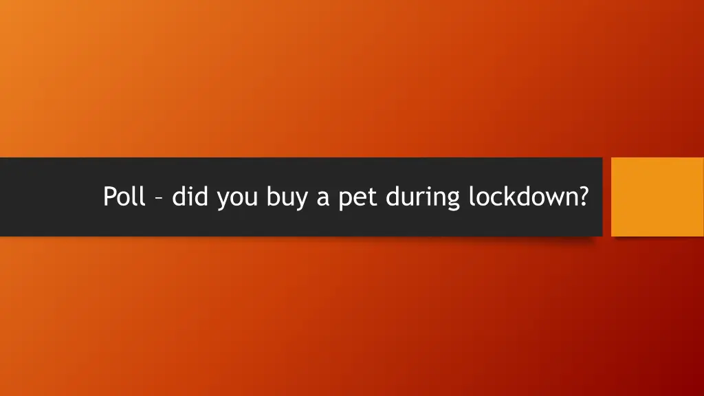 poll did you buy a pet during lockdown