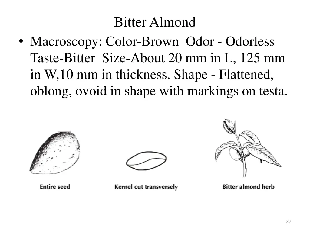 bitter almond 1