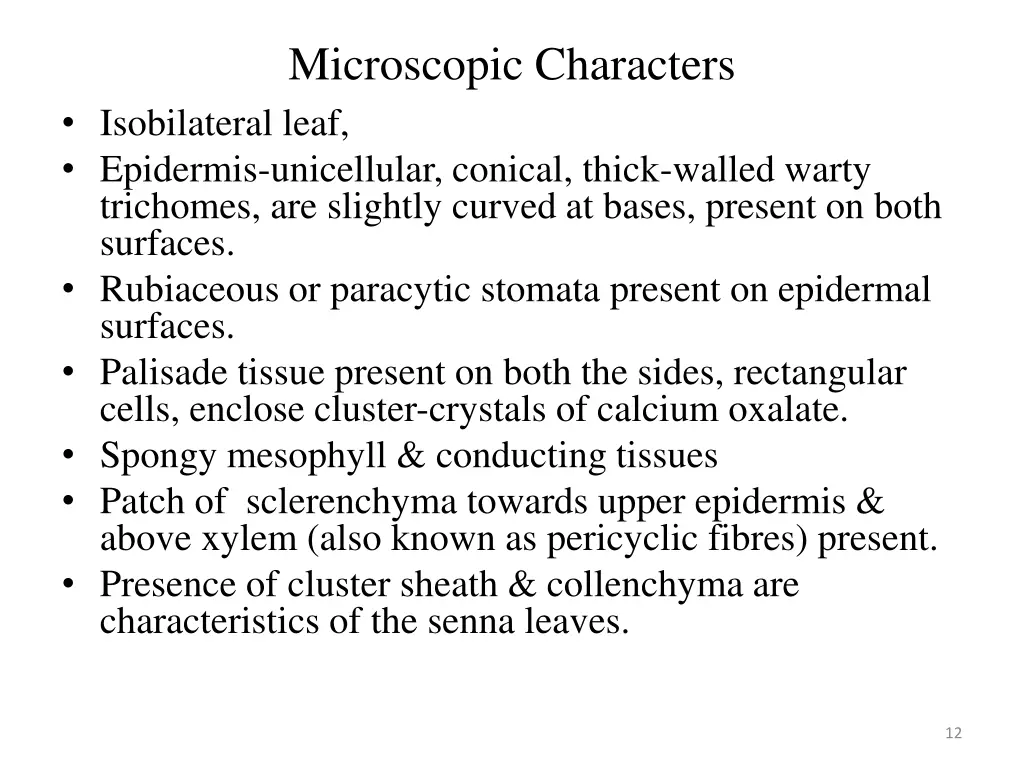 microscopic characters isobilateral leaf