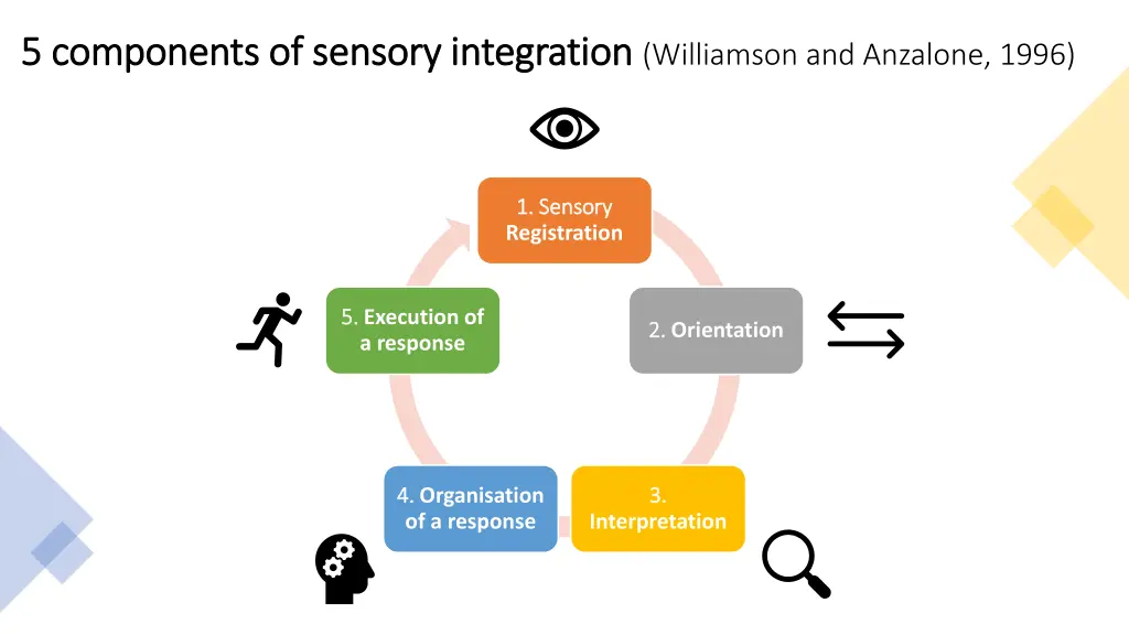 5 components of sensory integration 5 components