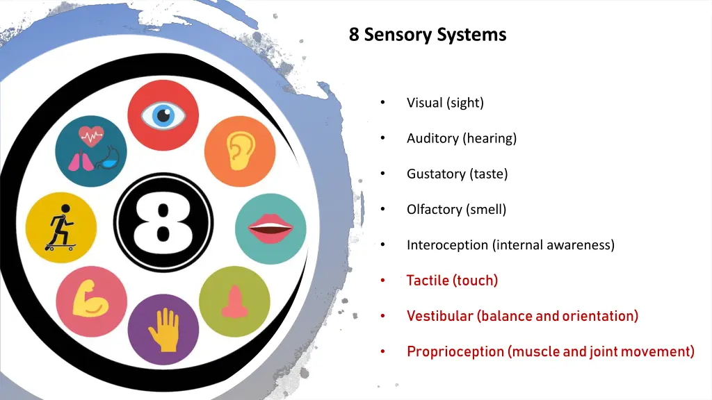 8 sensory systems