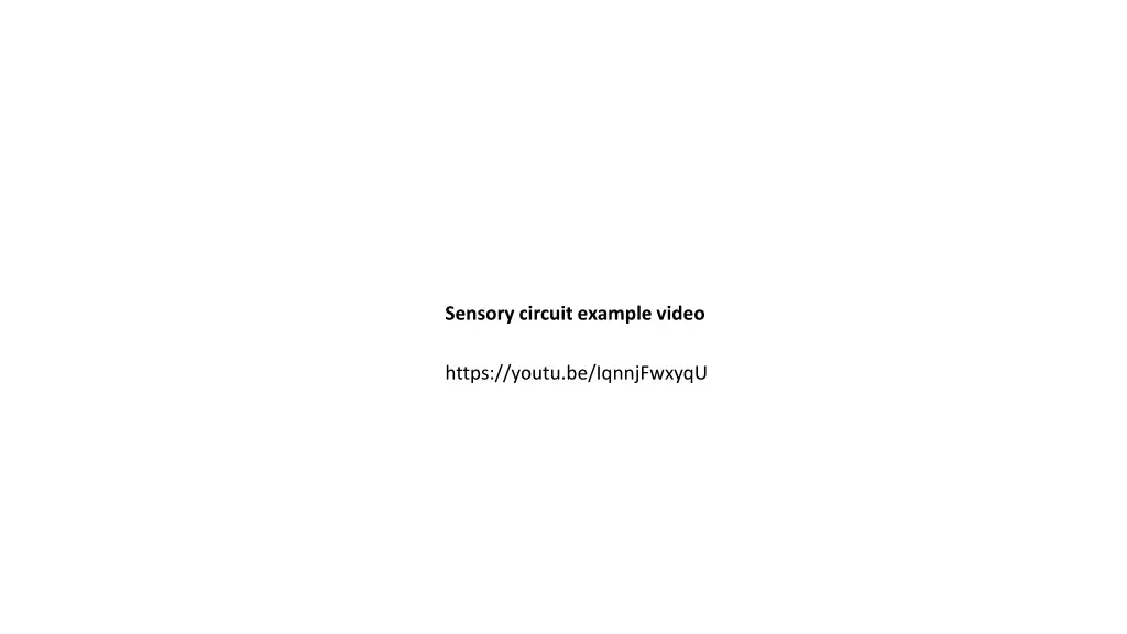 sensory circuit example video