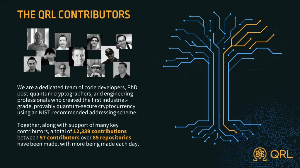 the qrl contributors the qrl contributors