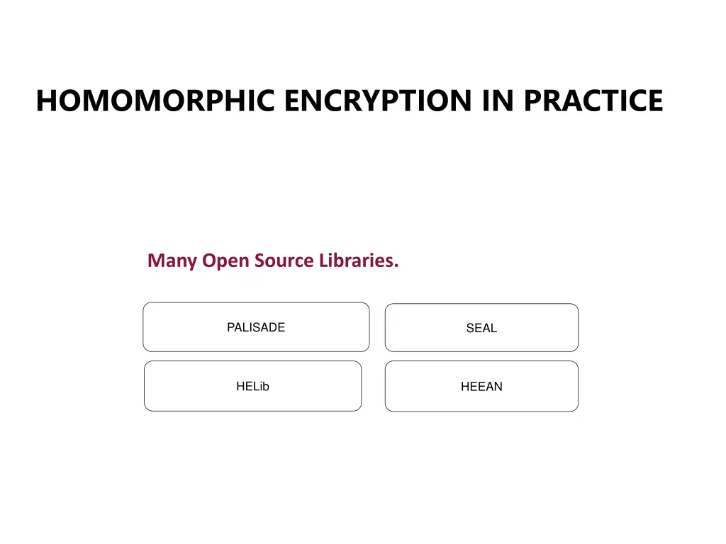 homomorphic encryption in practice