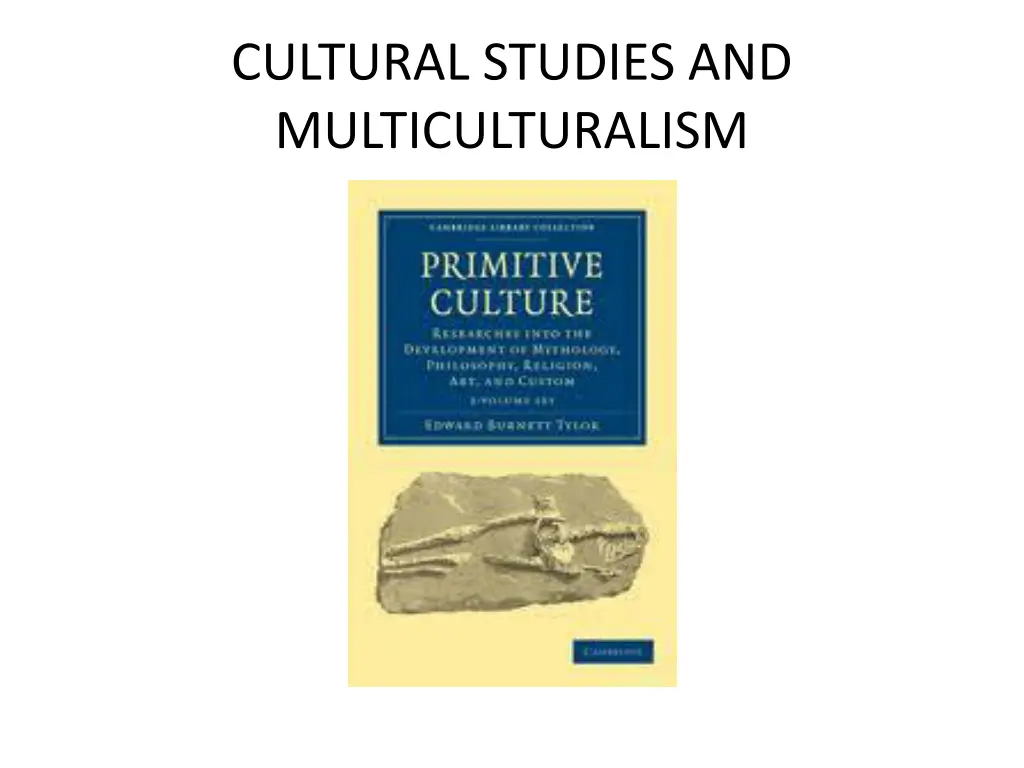 cultural studies and multiculturalism 3