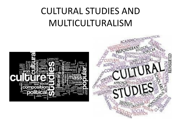 cultural studies and multiculturalism