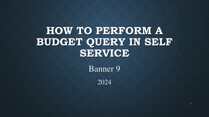 how to perform a budget query in self service