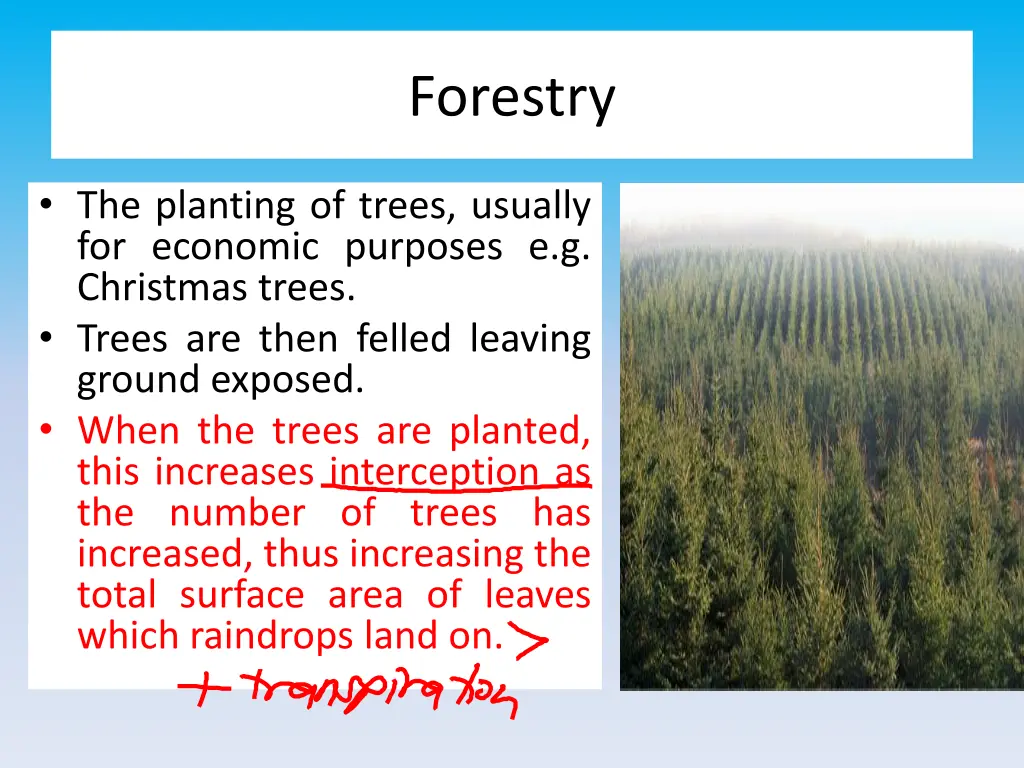 forestry