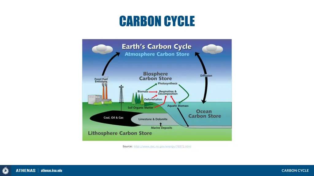 carbon cycle 1