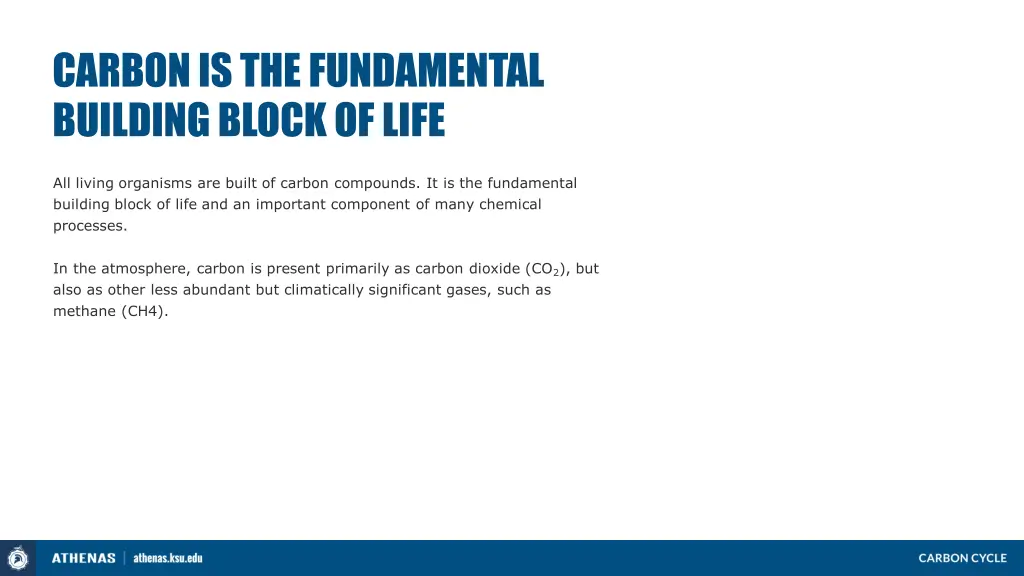 carbon is the fundamental building block of life