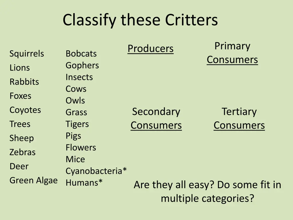 classify these critters