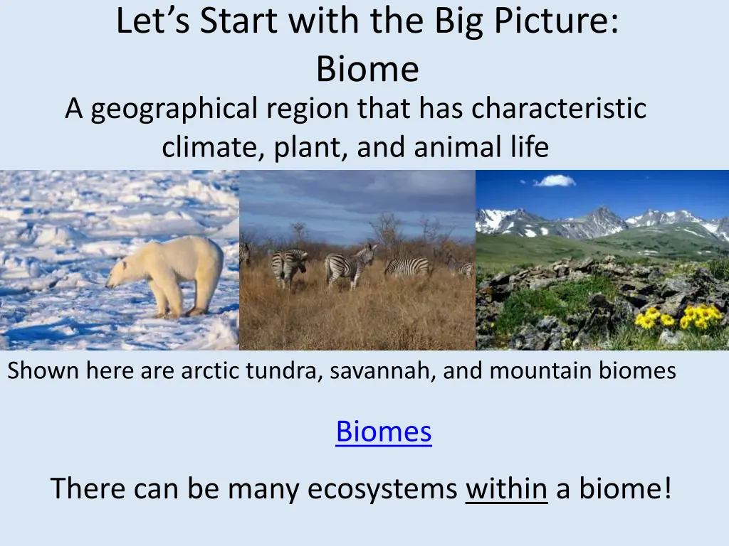 let s start with the big picture biome