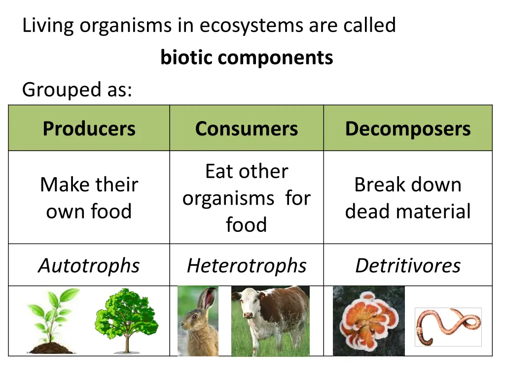 living organisms in ecosystems are called biotic