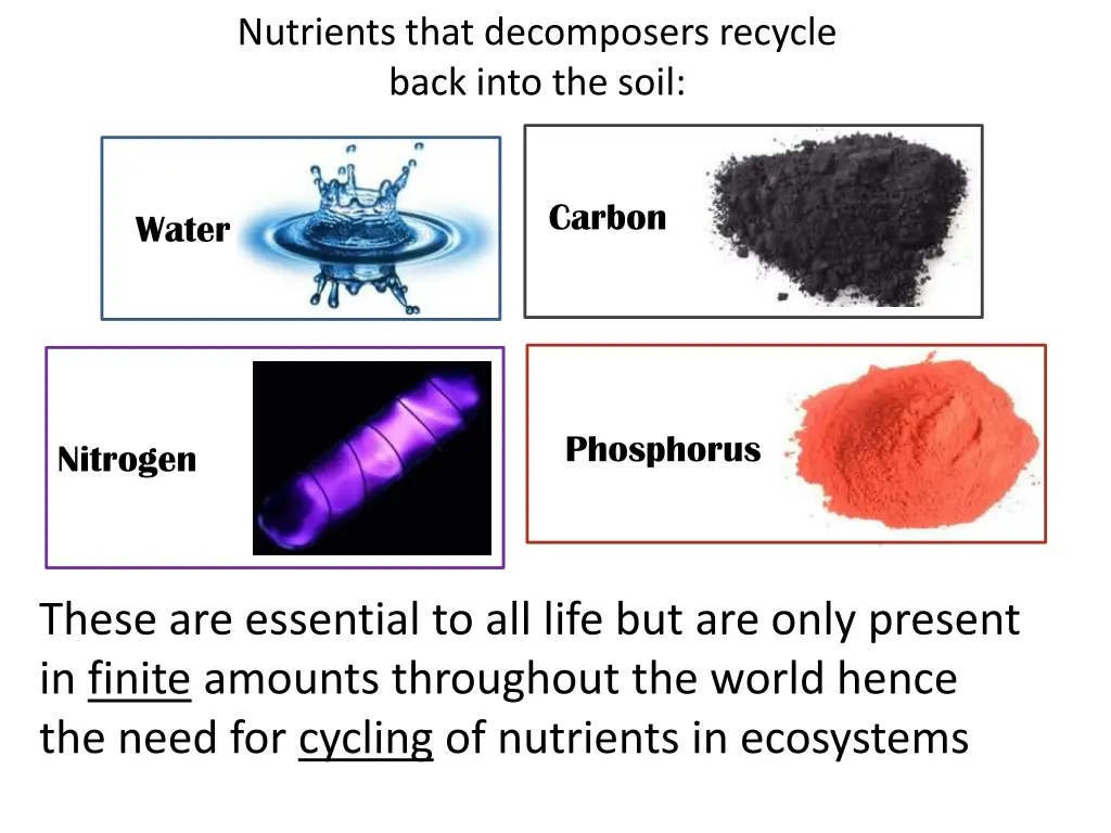 nutrients that decomposers recycle back into