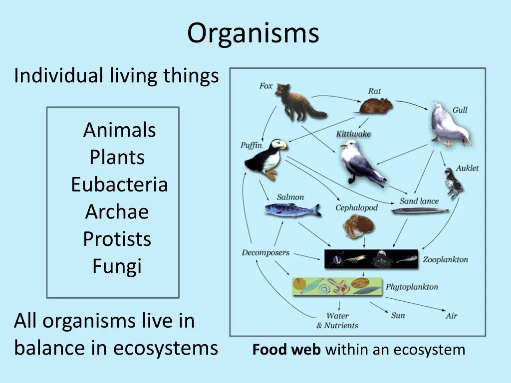 organisms