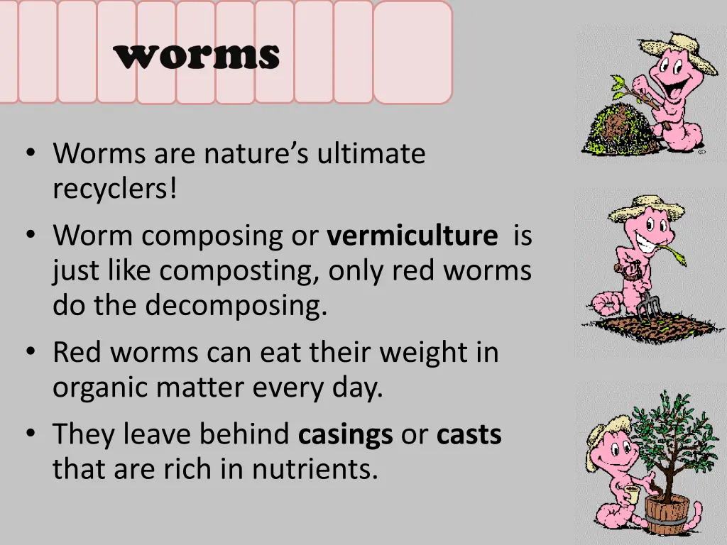 worms are nature s ultimate recyclers worm