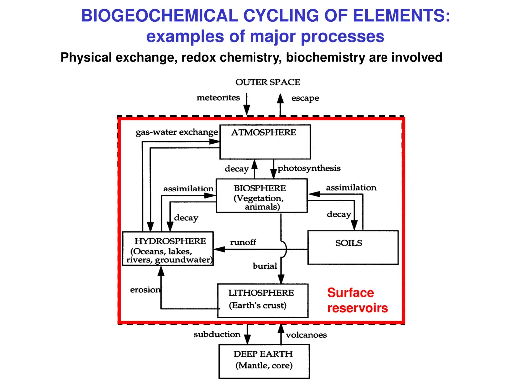 biogeochemical cycling of elements examples