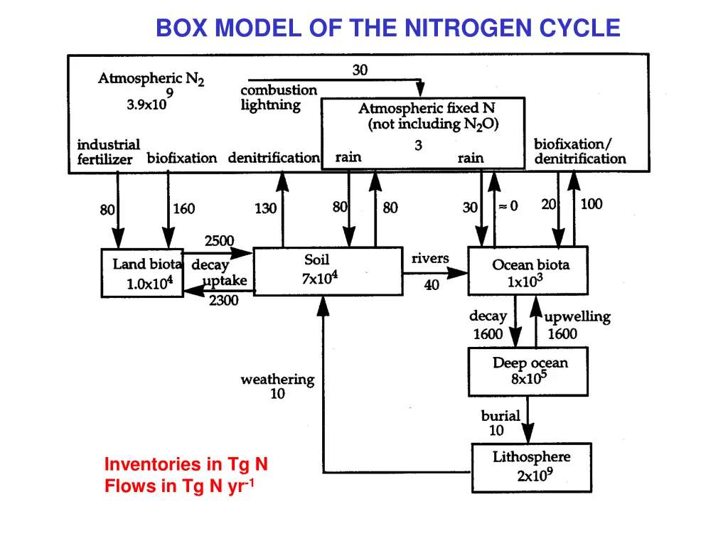 box model of the nitrogen cycle