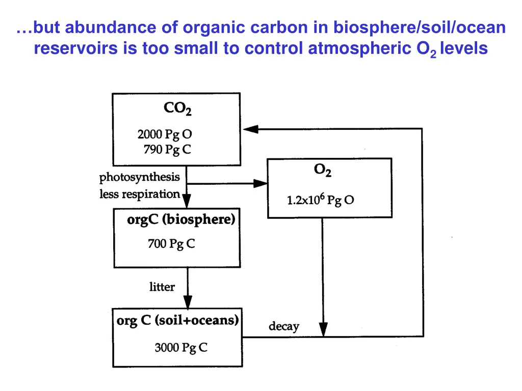 but abundance of organic carbon in biosphere soil