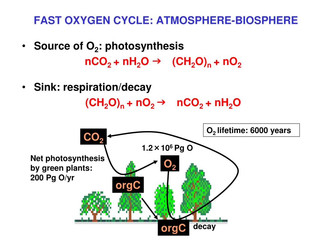 fast oxygen cycle atmosphere biosphere