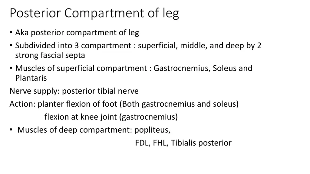 posterior compartment of leg