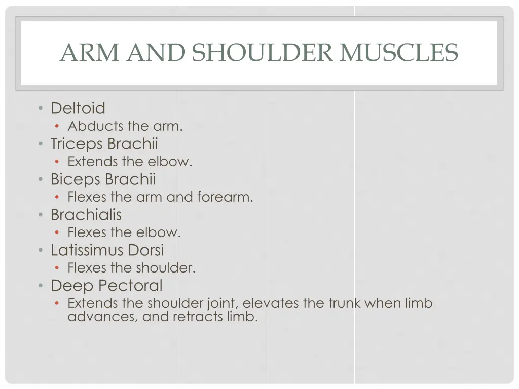 arm and shoulder muscles 1