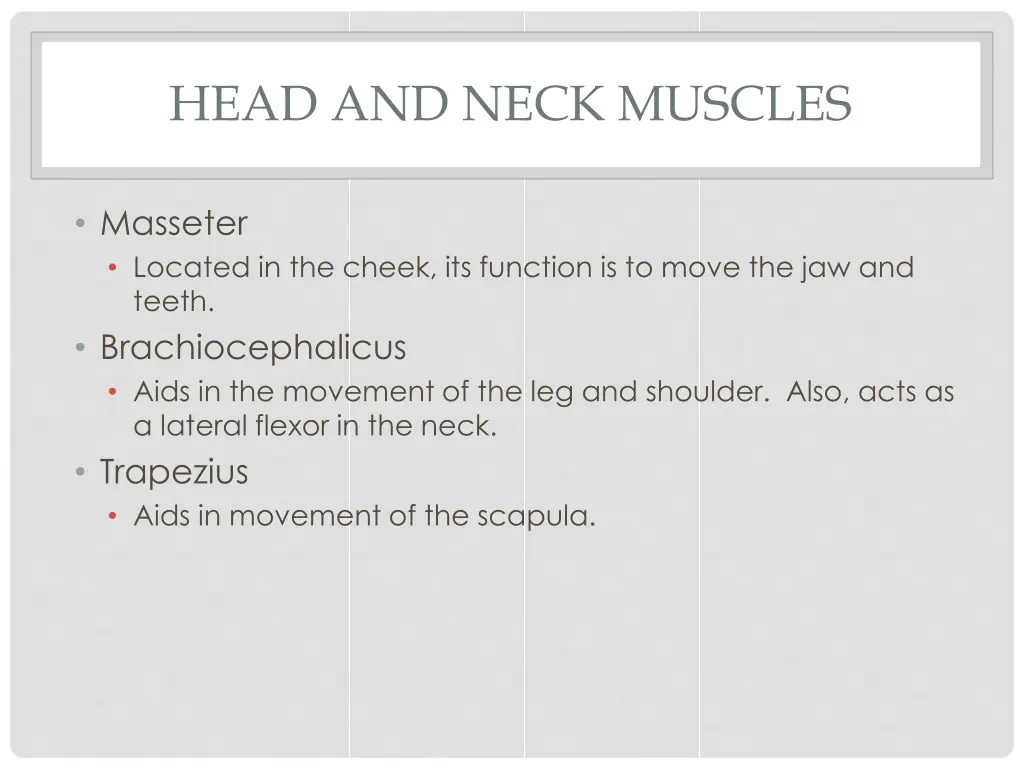 head and neck muscles 1