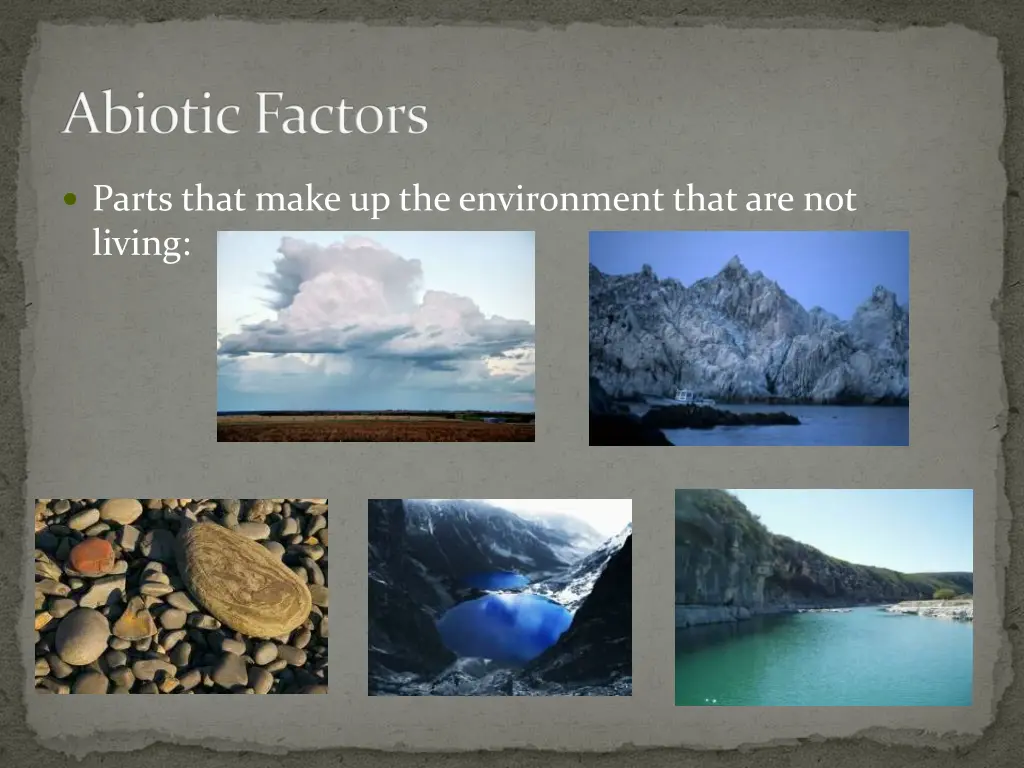 abiotic factors